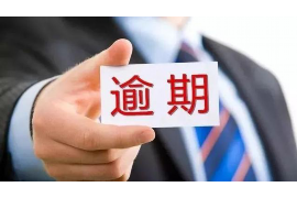 鸡西为什么选择专业追讨公司来处理您的债务纠纷？